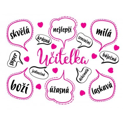 Dokonalá učitelka